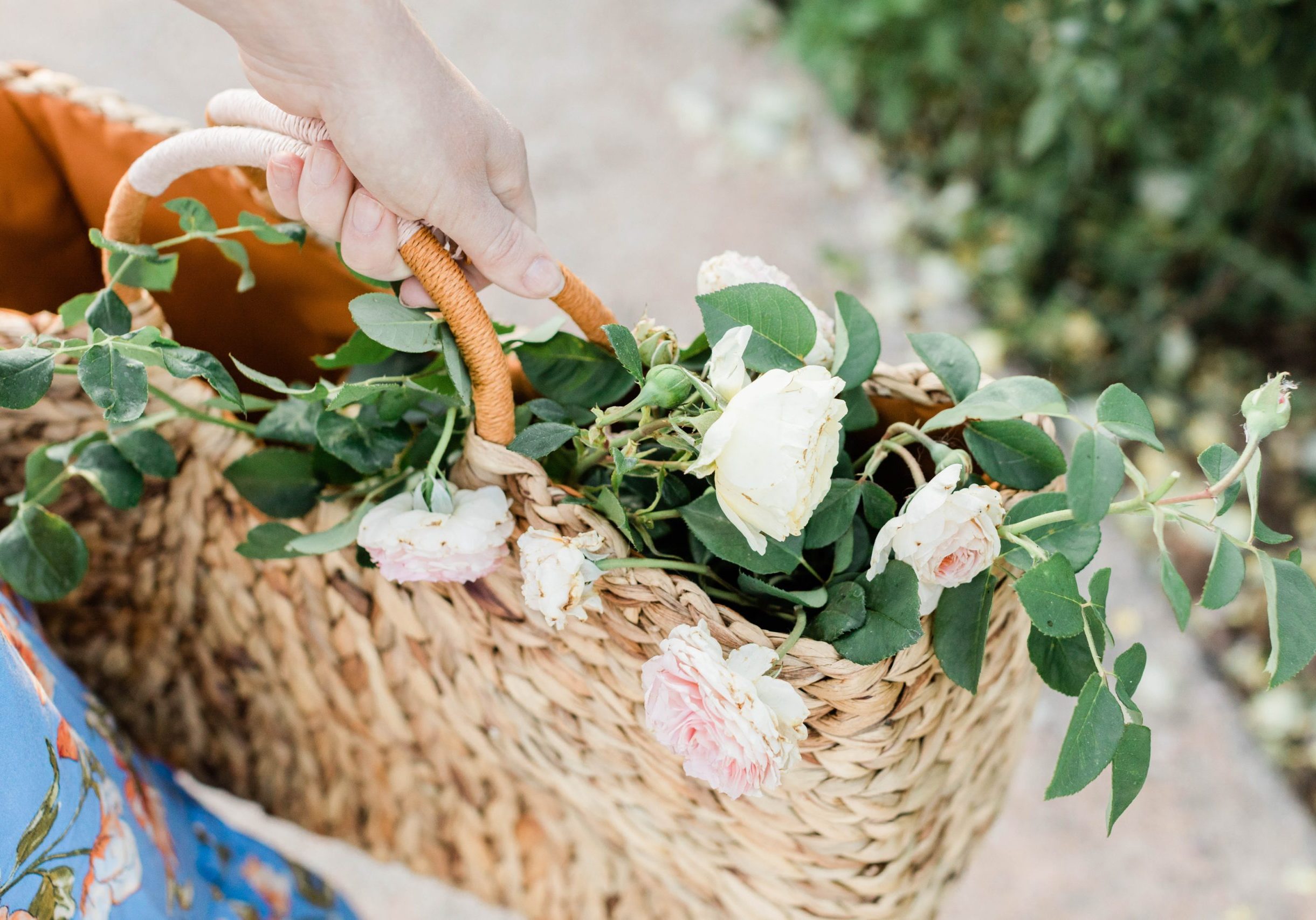 basket-of-goodness